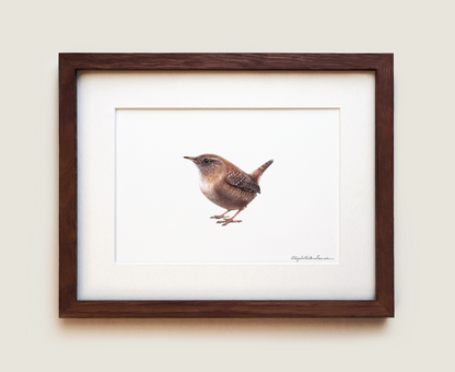 House Wren | Fine Art Print