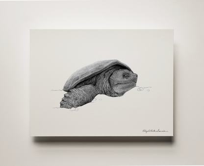 Snapping Turtle | Fine Art Print