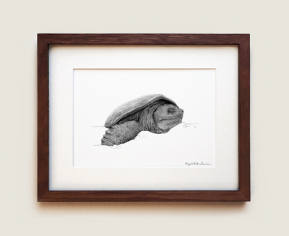 Snapping Turtle | Fine Art Print