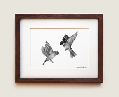 House Sparrows | Fine Art Print