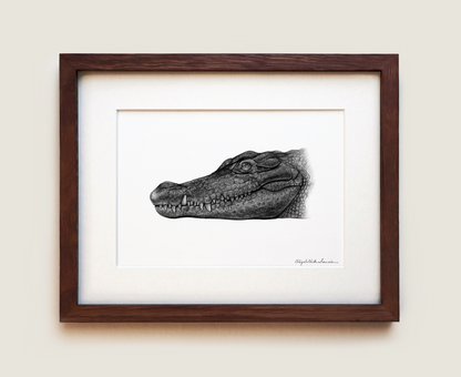 Nile crocodile | Fine Art Print