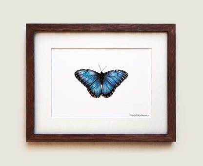 Blue Morpho Butterfly | Fine Art Print