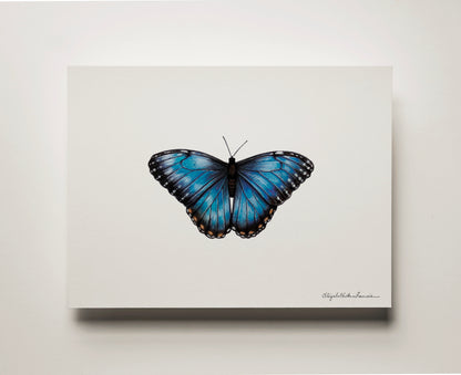 Blue Morpho Butterfly | Fine Art Print