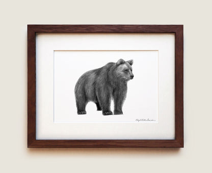 Grizzly Bear | Limited Edition Print