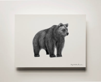 Grizzly Bear | Limited Edition Print