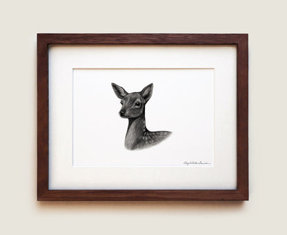White-tailed Deer Fawn | Fine Art Print