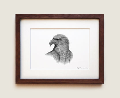 White-tailed Eagle | Fine Art Print