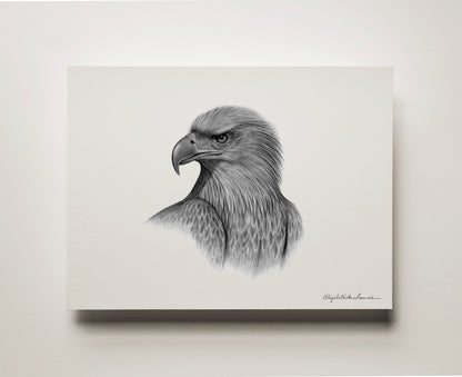 White-tailed Eagle | Fine Art Print