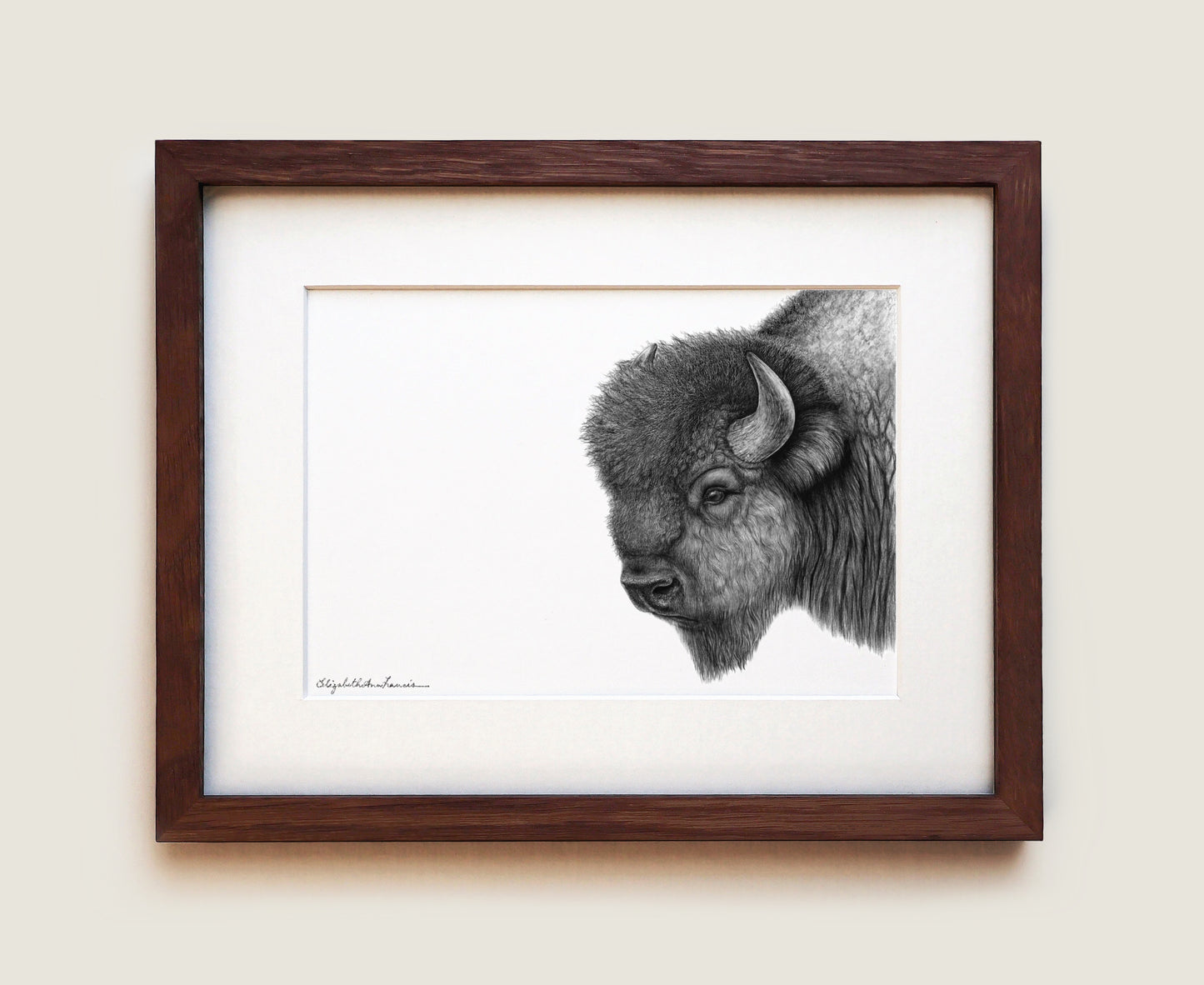 Plains Bison | Fine Art Print