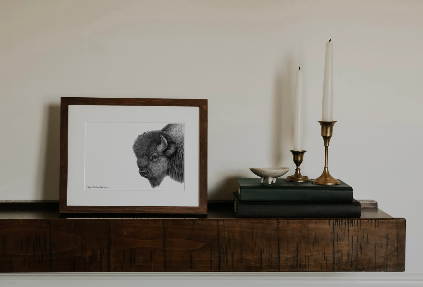 Plains Bison | Fine Art Print