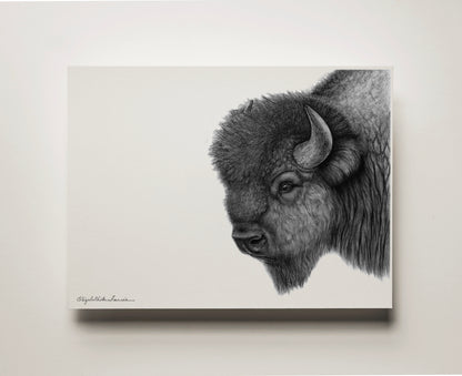Plains Bison | Fine Art Print
