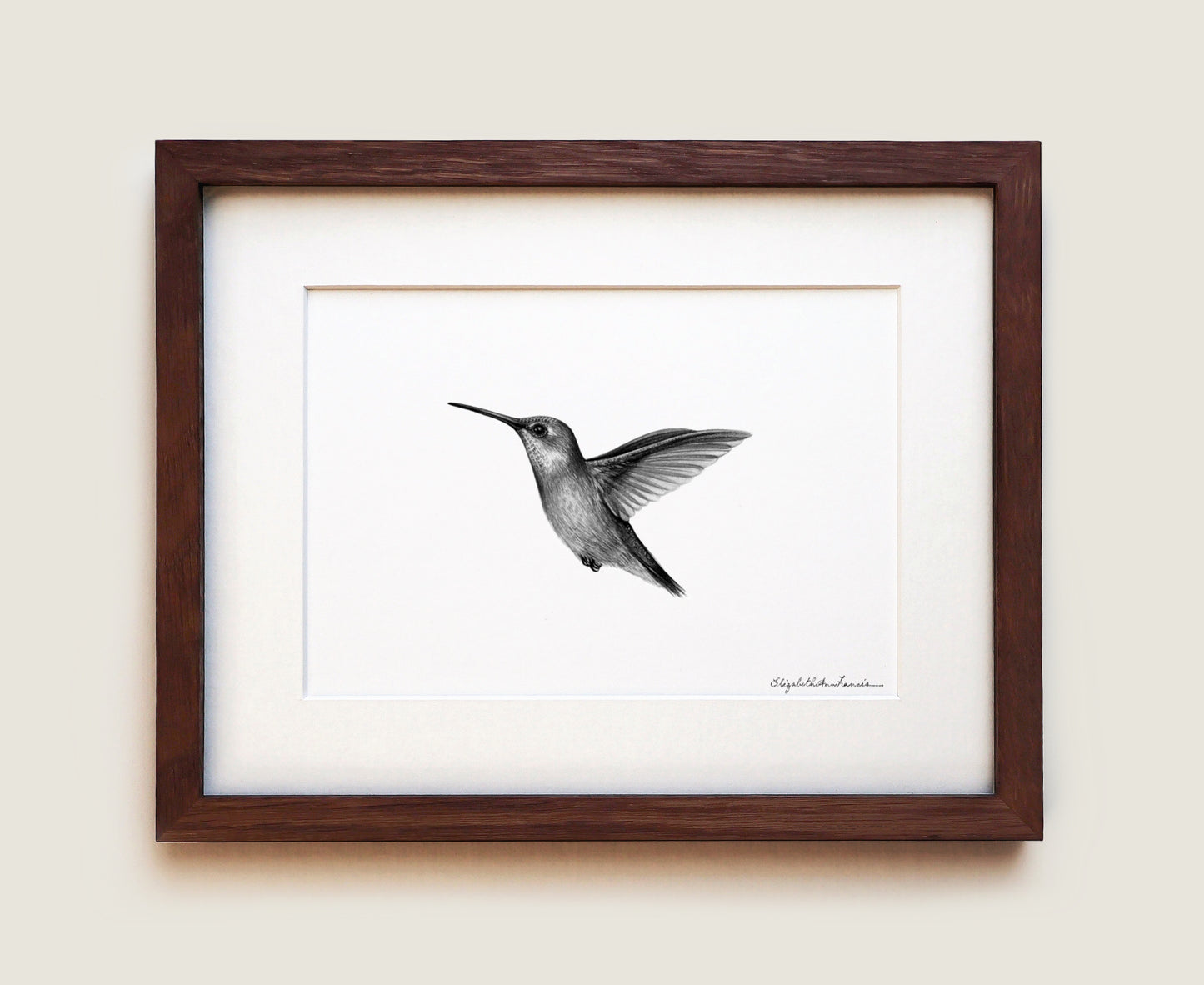 Ruby-throated Hummingbird | Fine Art Print