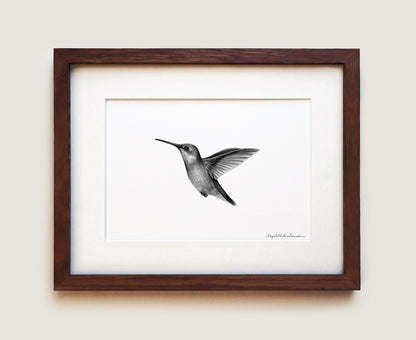 Ruby-throated Hummingbird | Fine Art Print