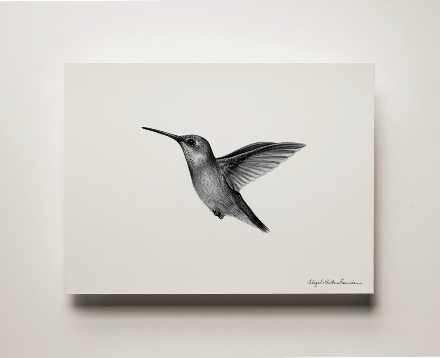 Ruby-throated Hummingbird | Fine Art Print