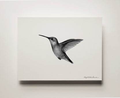 Ruby-throated Hummingbird | Fine Art Print