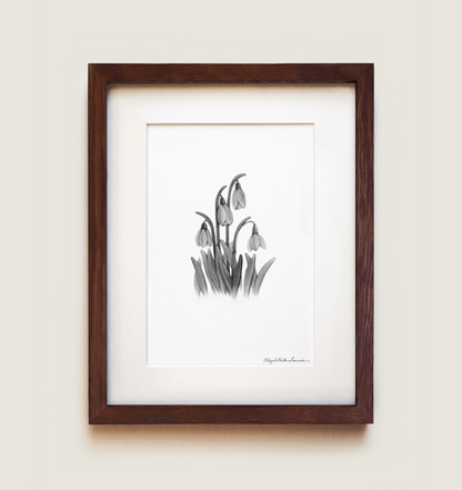 Snowdrops | Fine Art Print