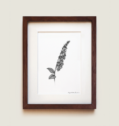 Foxglove Flowers | Fine Art Print