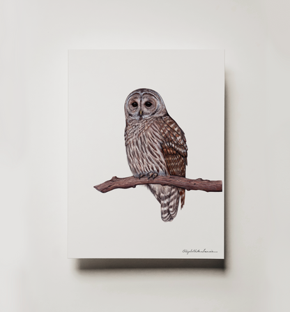 Barred Owl | Framed Art Print