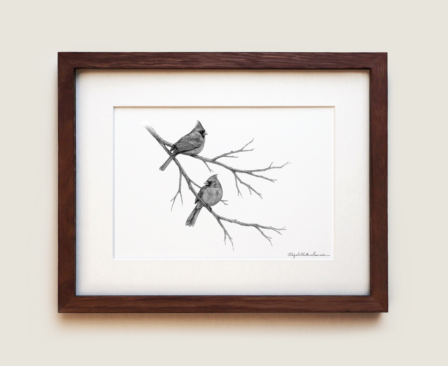 Northern Cardinals | Fine Art Print