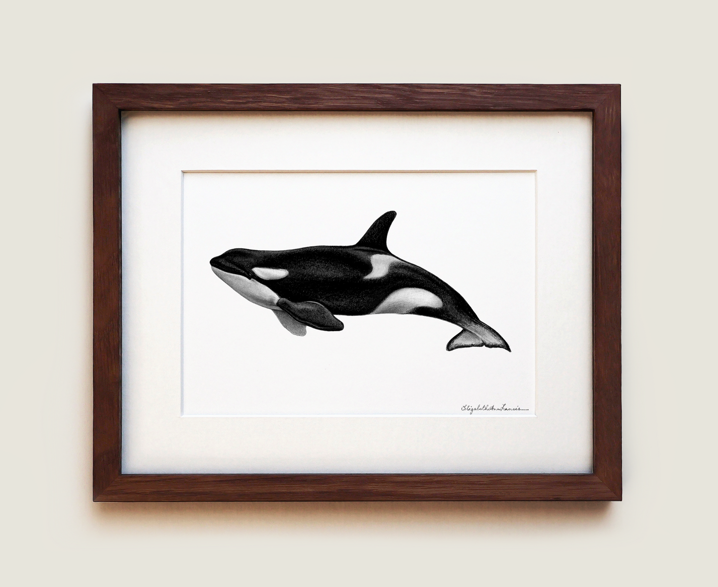 Orca Killer Whale | Fine Art Print