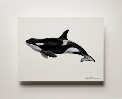 Orca Killer Whale | Fine Art Print