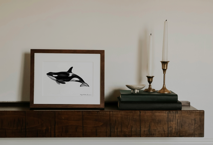 Orca Killer Whale | Fine Art Print